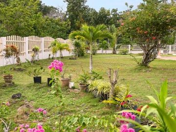 place photo 25