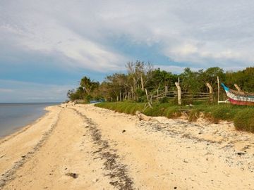 place photo 29