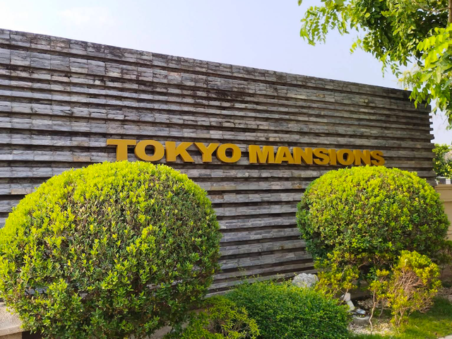 FOR SALE - Residential Vacant Lot in Shibuya Drive, Tokyo Mansion, South Forbes, Silang, Cavite