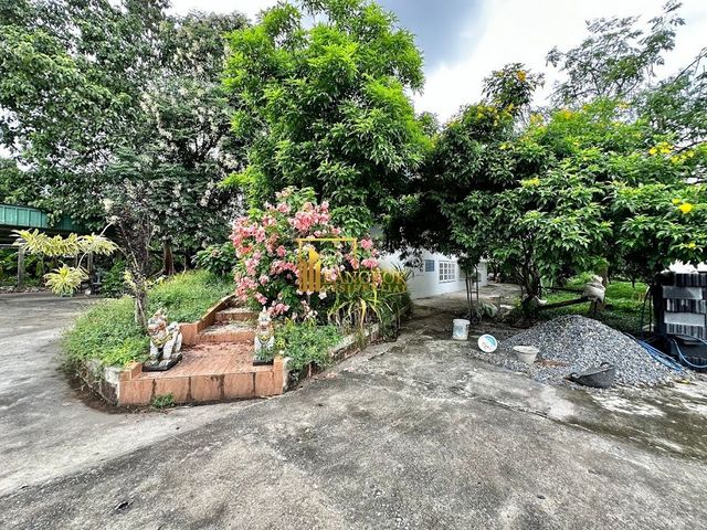 place photo 43