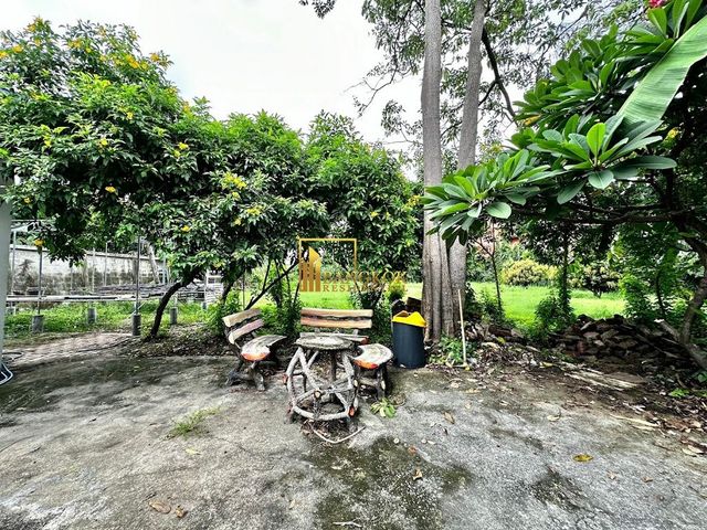 place photo 49