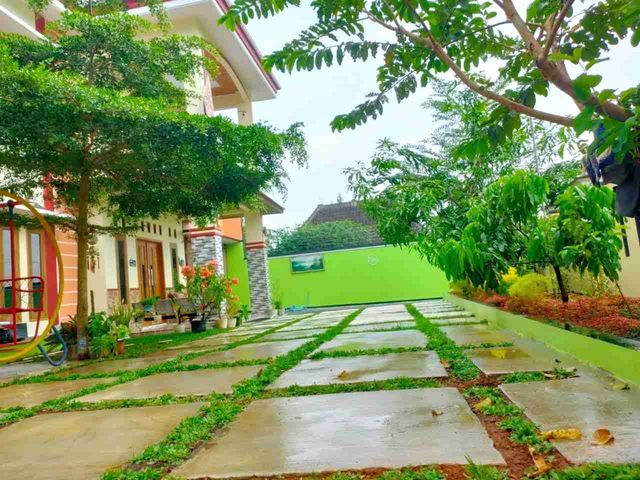 place photo 11