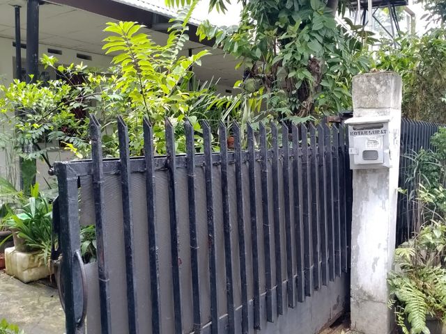 place photo 11