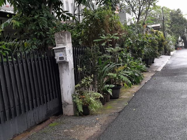 place photo 14