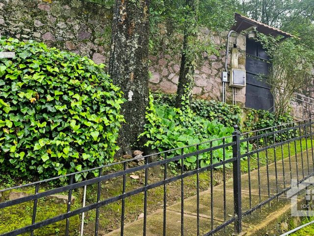 place photo 49