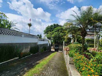 place photo 29