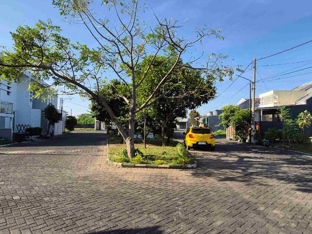 place photo 22