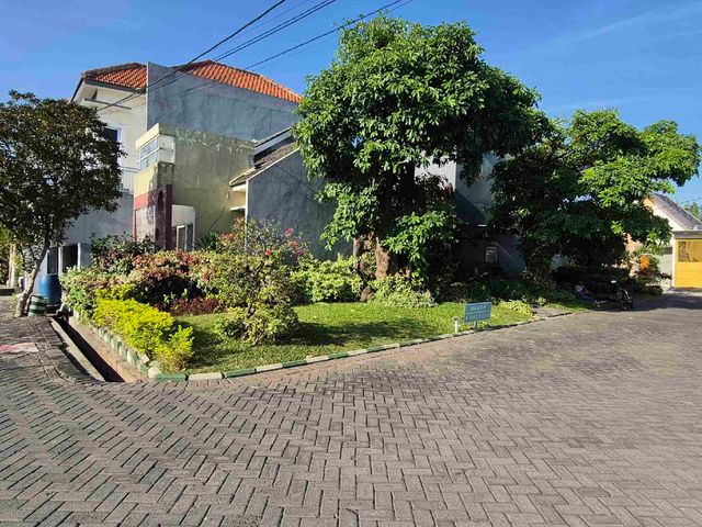 place photo 14