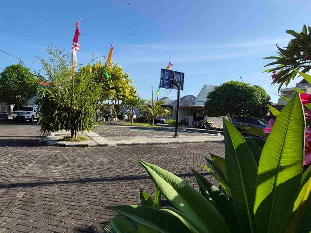 place photo 19