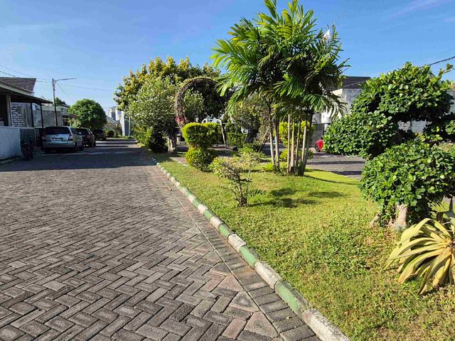 place photo 20