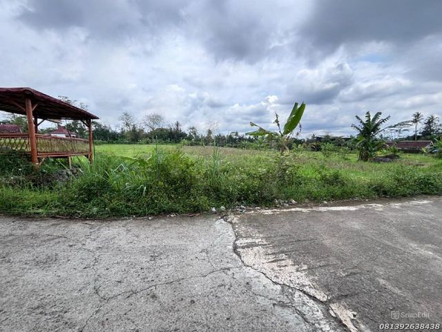place photo 12