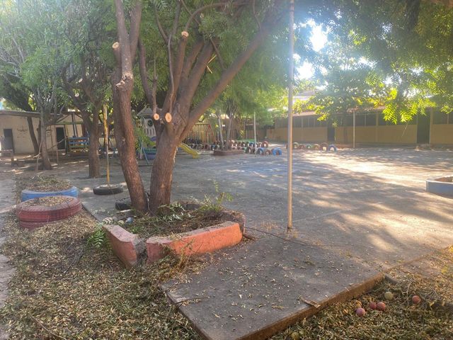 place photo 11