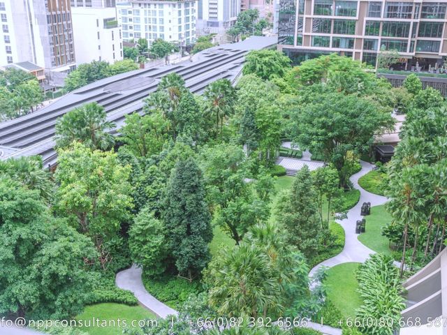 place photo 36