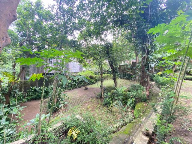 place photo 90