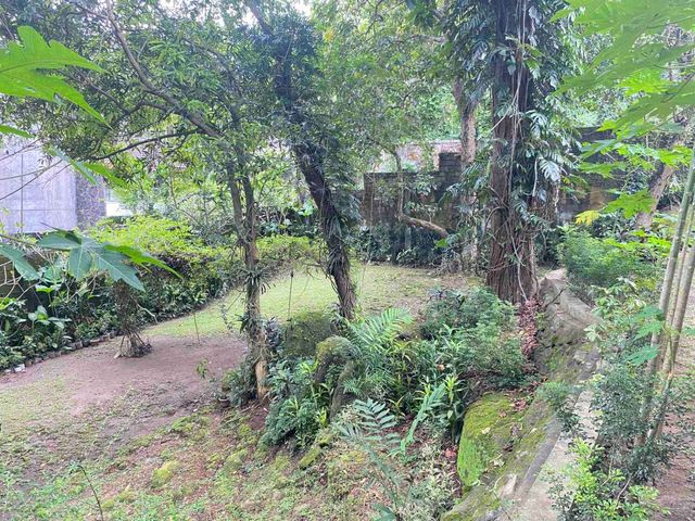 place photo 91