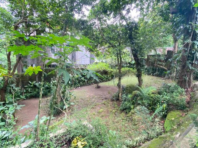 place photo 94