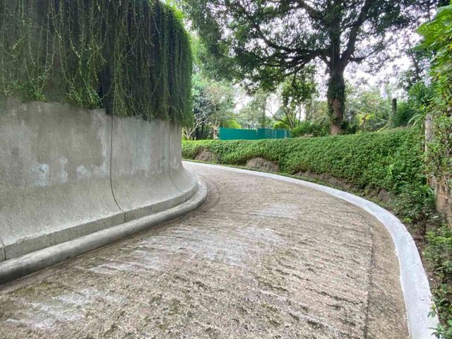 place photo 101