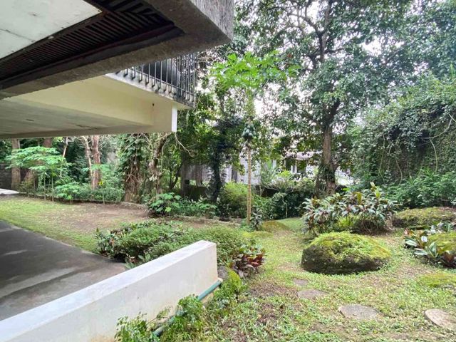 place photo 116