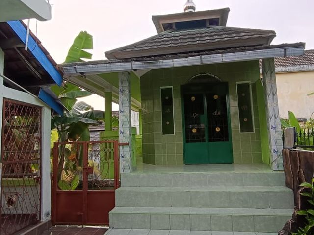 place photo 13