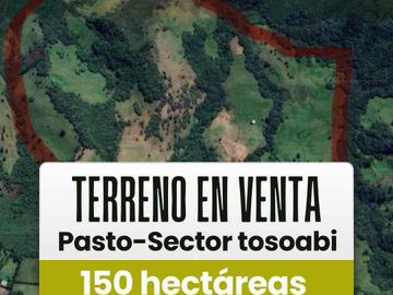 Finca economica de 150 hectáreas en tosoabi-Pasto Nariño