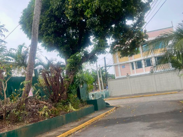 place photo 41