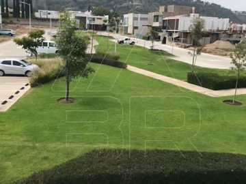 place photo 37