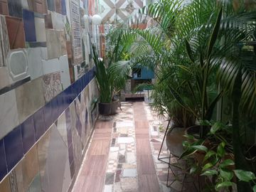 place photo 15