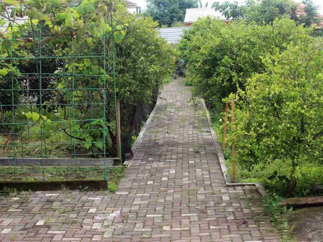 place photo 15