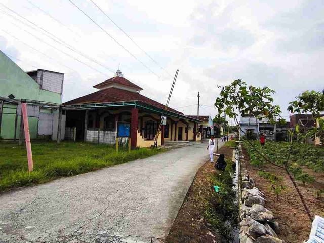 place photo 8