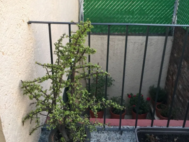 place photo 44