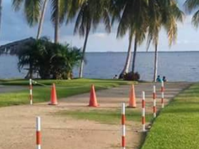 place photo 20