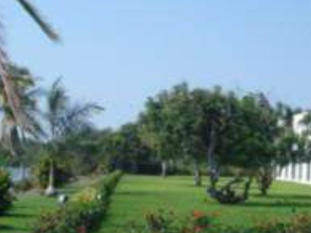 place photo 32
