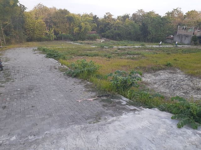 place photo 5