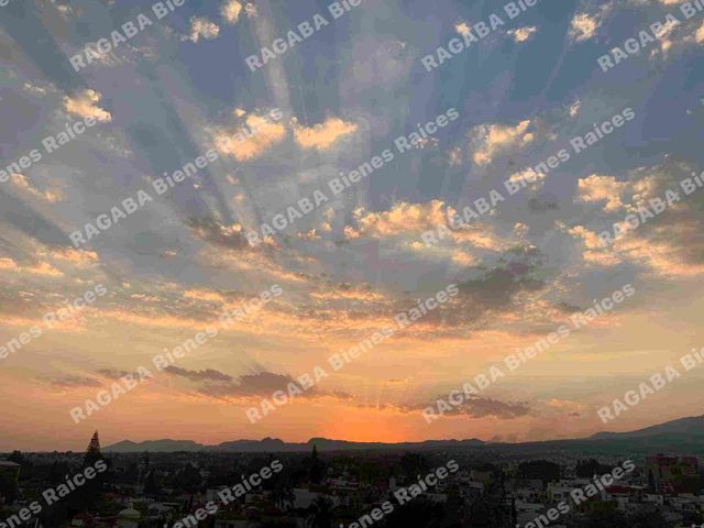 place photo 34