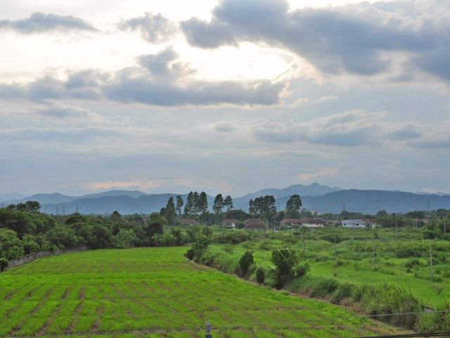 place photo 44