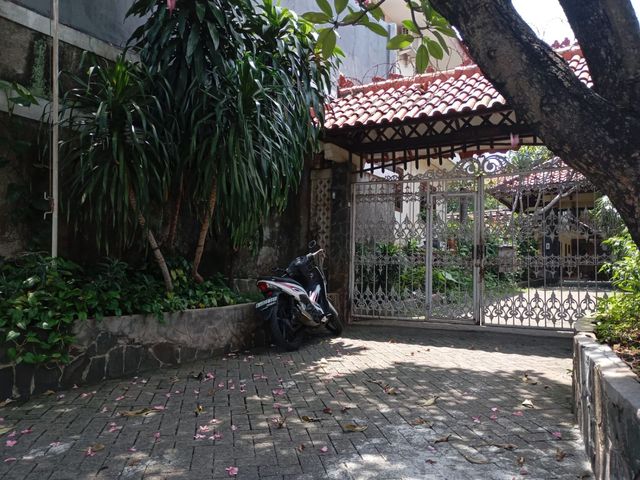 place photo 14