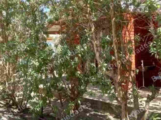 place photo 37