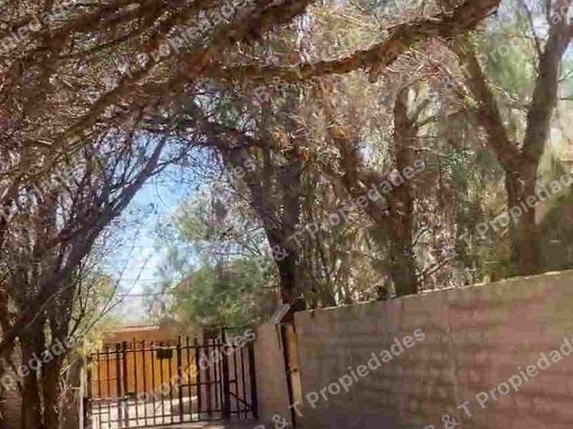 place photo 38