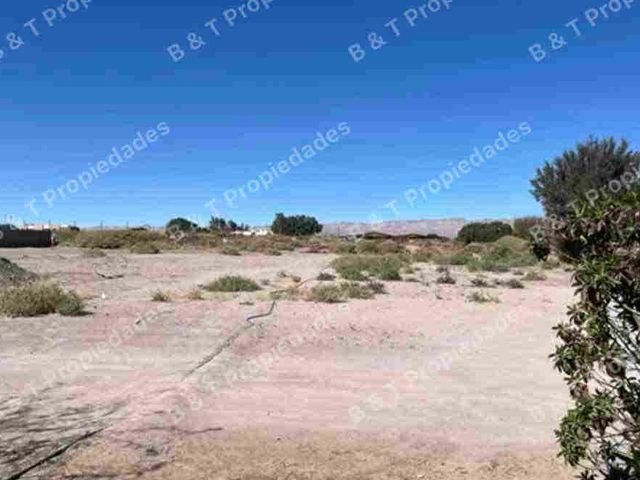 place photo 44