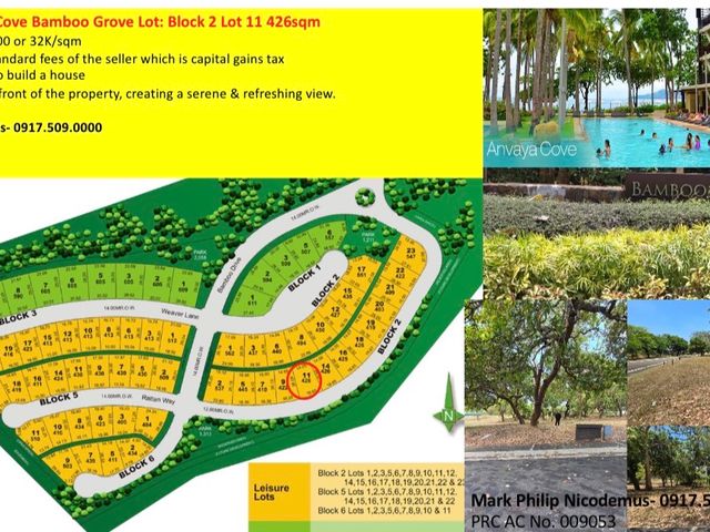 Residential Lot for sale in Anvaya Cove Morong Bataan- Rush Sale!!