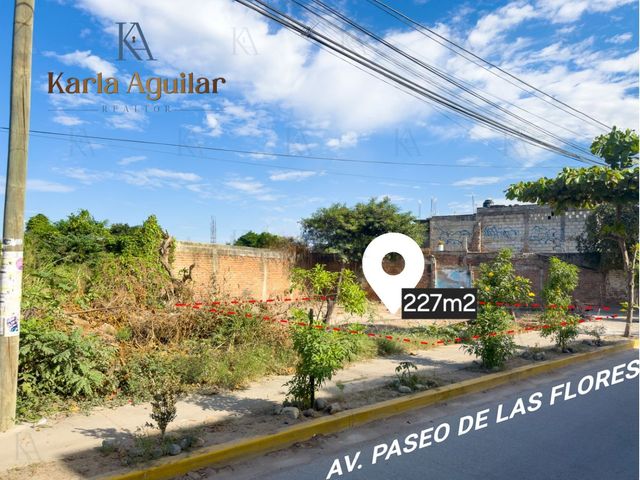 place photo 9