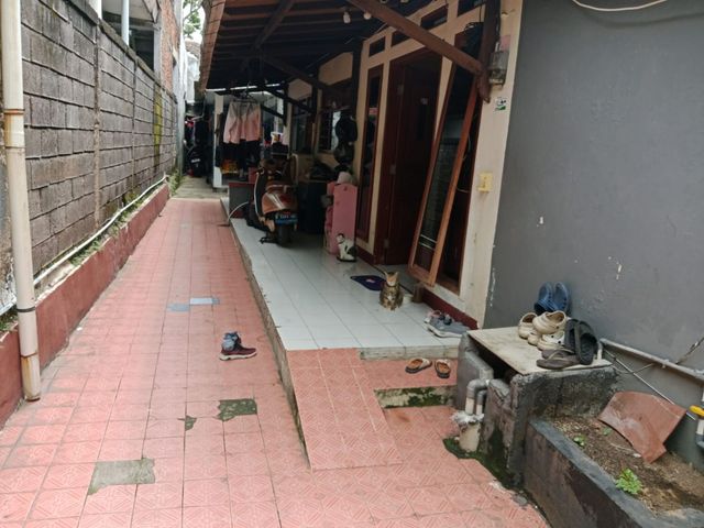 place photo 17