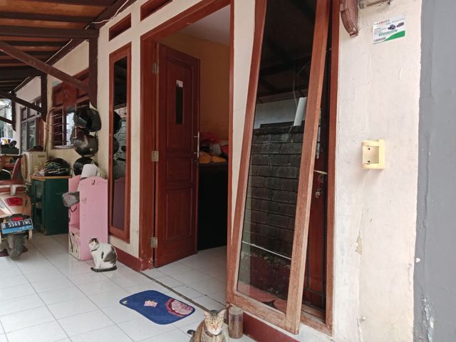 place photo 18