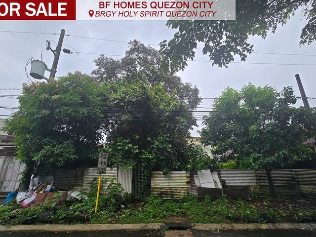 Lot For Sale BF Homes Quezon City Vacant Lot Good Deal