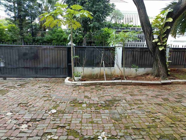 place photo 18