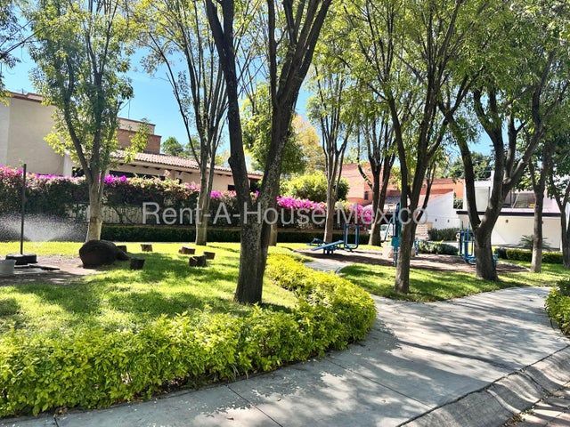 place photo 68