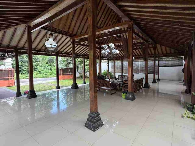 place photo 24