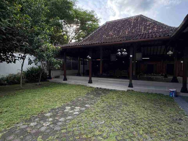 place photo 41
