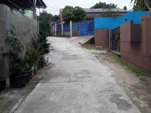 place photo 12