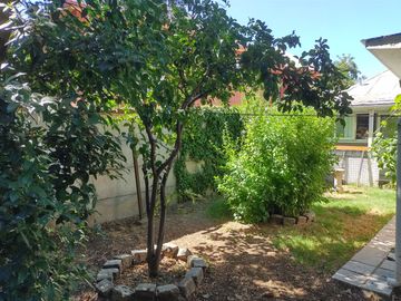place photo 26